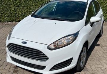 Ford Fiesta 170.000 km 4.100 &euro; Oerlinghausen 33813