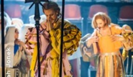 Der Troubadour (Il trovatore)